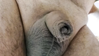 Mein kleine Penis