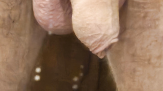 Hier nun mein erstes Foto von meinem Schwanz mit Vorhaut