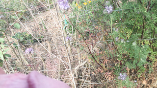 In der Natur