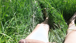 Auf der grünen Wiese
