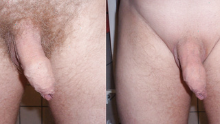 Mein Penis mit und ohne Haar