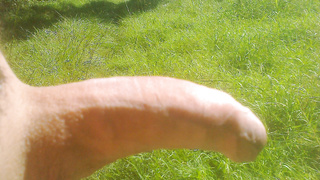 Steifer Penis in der Wiese