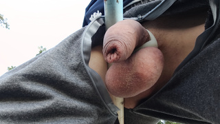 Rasierter Schwanz nochmal in der sonne