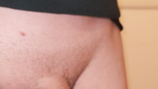 Normaler Penis,mit meinen haarigen Hoden