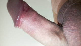 Penis Vorstellung