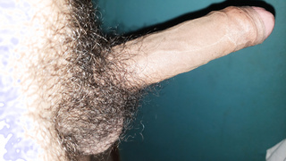 Mein haariger penis