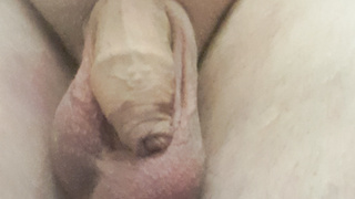 Mein hübscher Schwanz