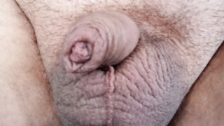 Schwanz Bilder Galerie