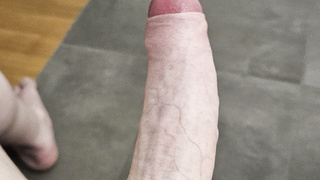 Ein paar Bilder
