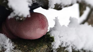 Penis im Winterwald