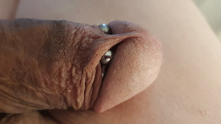 Nackter rasierter Schwanz