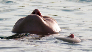 Nippel Show am See