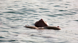 Nippel Show am See