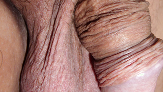 Etwas neue Bilder