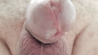 Neue Fotos