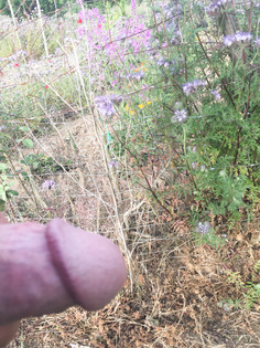 In der Natur