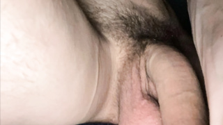 Die ersten Bilder
