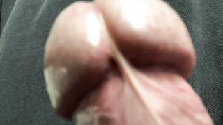 Penis CloseUps