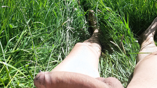 Auf der grünen Wiese
