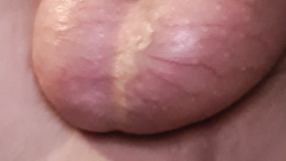 Meine dicken Hoden