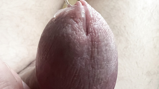 Lusttropfen von Euren Fotos und Videos