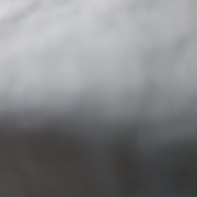 Sven25