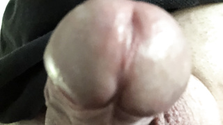 Penis CloseUps