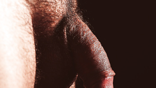 Aktfotoshooting