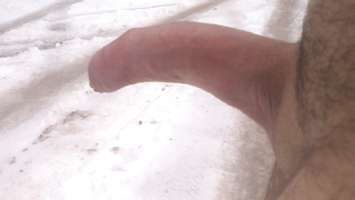 Halb-Steifer Penis