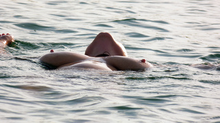 Nippel Show am See
