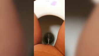 Kleine Stute macht Pipi