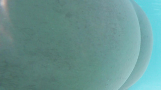 Nackt im Pool