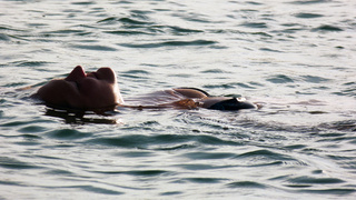 Nippel Show am See