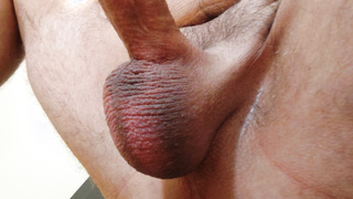 Meine Penis Bilder Vorstellung