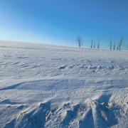 Sonnenschein123