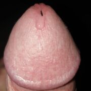 saschispatz