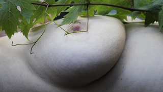 Nackt auf Terrassien