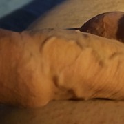 Tiger59