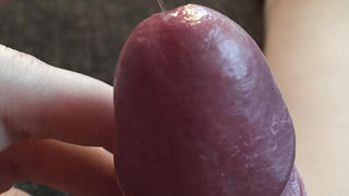 Mein junger Penis
