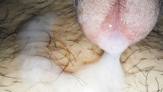 Schwanz und Sperma