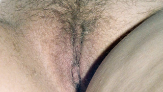 Muschis Pur