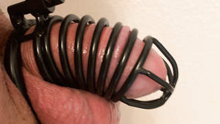 Peniskäfig Black Stahl