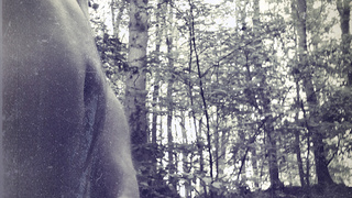 Allein im Wald