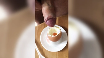 Eibefruchtung