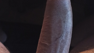 Angesichts schöner Bilder au dieser Seite