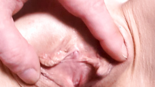 Muschi vorstellung