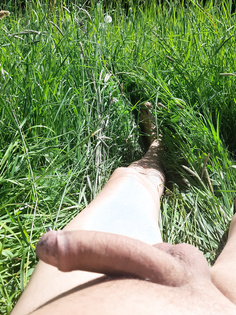 Auf der grünen Wiese