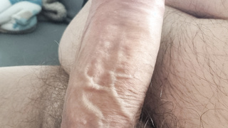 Neues von meinem Penis
