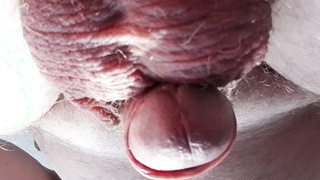 Dicke Eier und voller Sack