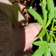 Nudist420